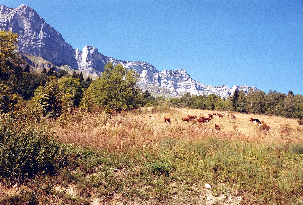 2003 - Coupe Icare 1.jpg